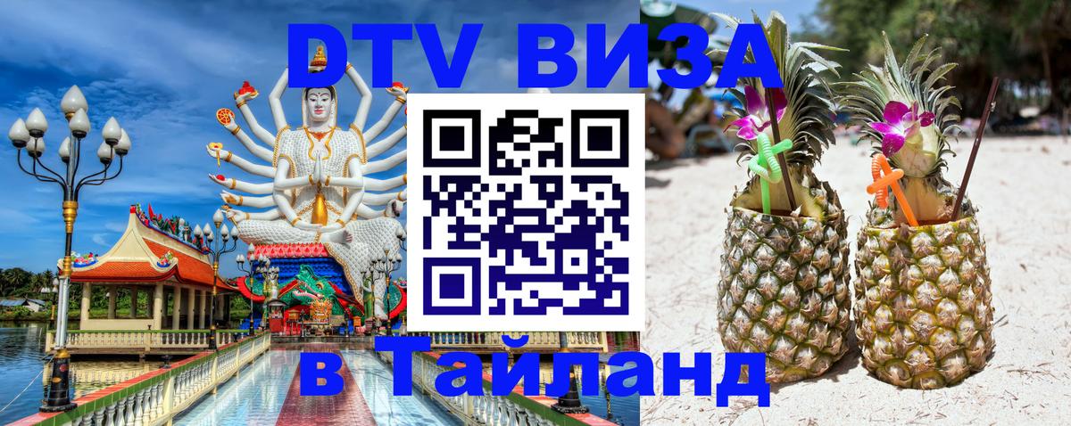 Оформление DTV визы под ключ: стоимость и тарифы, только загранпаспорт - 